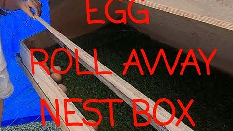 Chicken egg roll away nest box Build 1080p