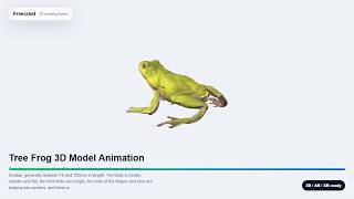 Download Tree Frog 3D Model Animation 3D Model on Freecreat | GLB FBX OBJ STL