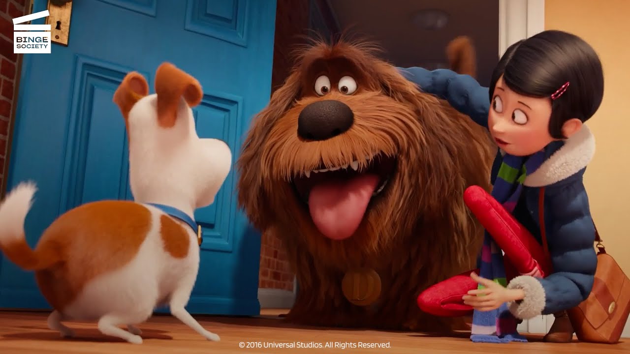The Secret Life Of Pets Long Sleeve Top Duke and Max 
