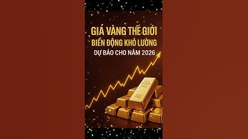 Chuyên Gia Dự Báo Giá Vàng 2026 #taichinh #baihocthanhcong #thaydoicuocdoi #hoclamchuoffical