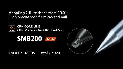 NS TOOL Machining: SMB200 Micro Lens Array
