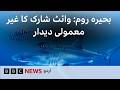 Great White shark caught on camera in Mediterranean Sea- BBC URDU