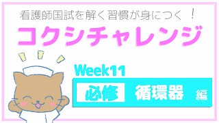 【Week11 必修 循環器 編】コクシチャレンジ ～看護師国試を解く習慣が身につく！～