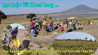 Thế Nhân || Thu Hoạch Lạc Ở Nông Trại Bản Caiti Và Thành Quả Lần Đầu Đạt Được Ngoài Sự Mong Đợi