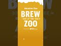 Brew at the Zoo 2026 | Houston Zoo