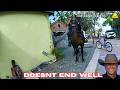 Here's Why You Don't Bite the Horse Cop