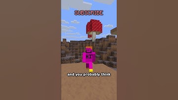 Thumbnail of the rarest seed in minecraft. (once and for all)