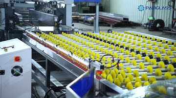 PAVIGLASS PASM Series Glass Double Edging Line with Washing Machine