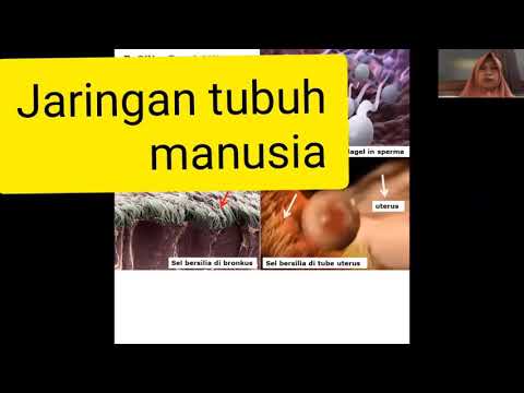 Video: Sebuah Sistem Untuk Regenerasi Jaringan Tubuh Manusia Telah Dikembangkan - Pandangan Alternatif