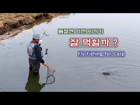 - 2025 fly fishing EP3  (Carp On The Fly <strong>잉어</strong> 플라이 낚시) with CLOVA Dubbing