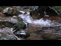 Relaxing　River　sounds　25mins　in　Japan