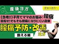 【産後】腰痛予防・改善ヨガ〜産後のツラい腰痛・腰の突っ張り、違和感に〜初心者でもOK☆〜鍛える編〜
