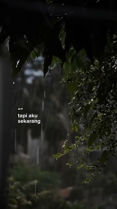 Sal Priadi - Gala bunga matahari | Lirik Lagu#videoshort #galau #rindu