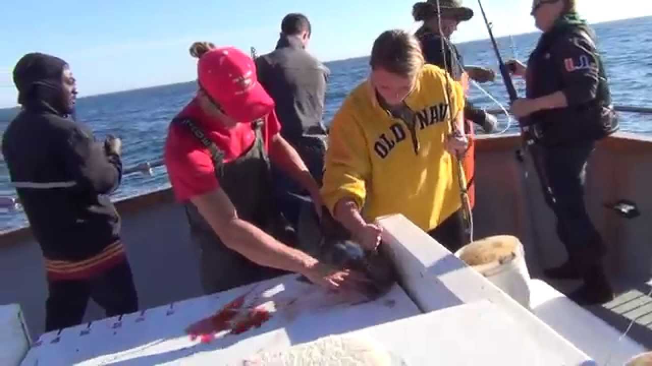 Fishing halibut in Homer Alaska YouTube