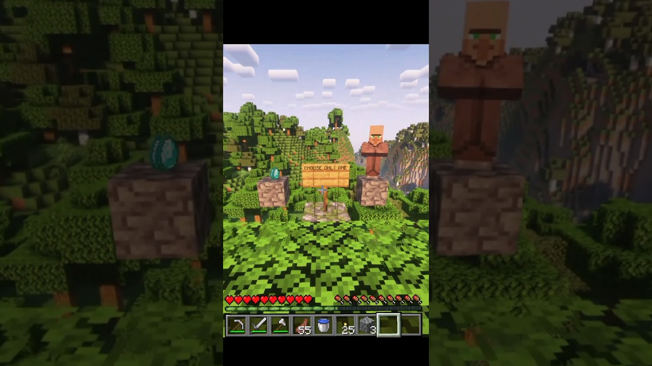 Choose One Of Them | Villager vs Diamond 