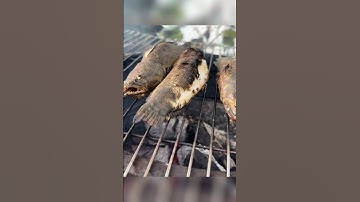 Cá lóc nướng cuốn lá sen non chấm nước chấm thần thánh, cảnh đẹp và chill chill..!