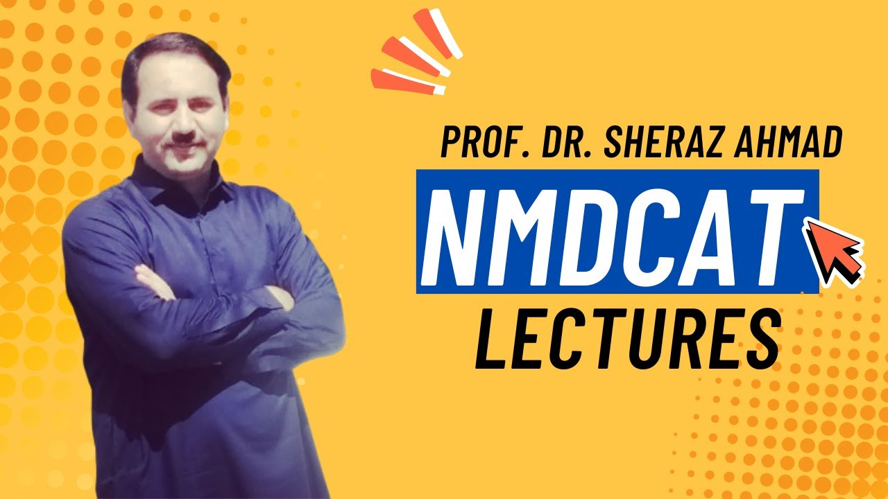 Lecture 02: Force and Motion – DIstance & Displacement (Complete Basics) + Solved MCQs