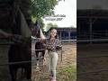 Are You Sure Farmgirl Cowgirl 18 