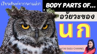 อวัยวะของนก | Body parts of birds | เรียนคำศัพท์ภาษาอังกฤษ