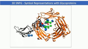 Glycoscience: Dr. Woods of the University of Georgia