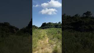 A declined island “Koyoshima” located in Kagawa.it can be landed by only fisherman boat.