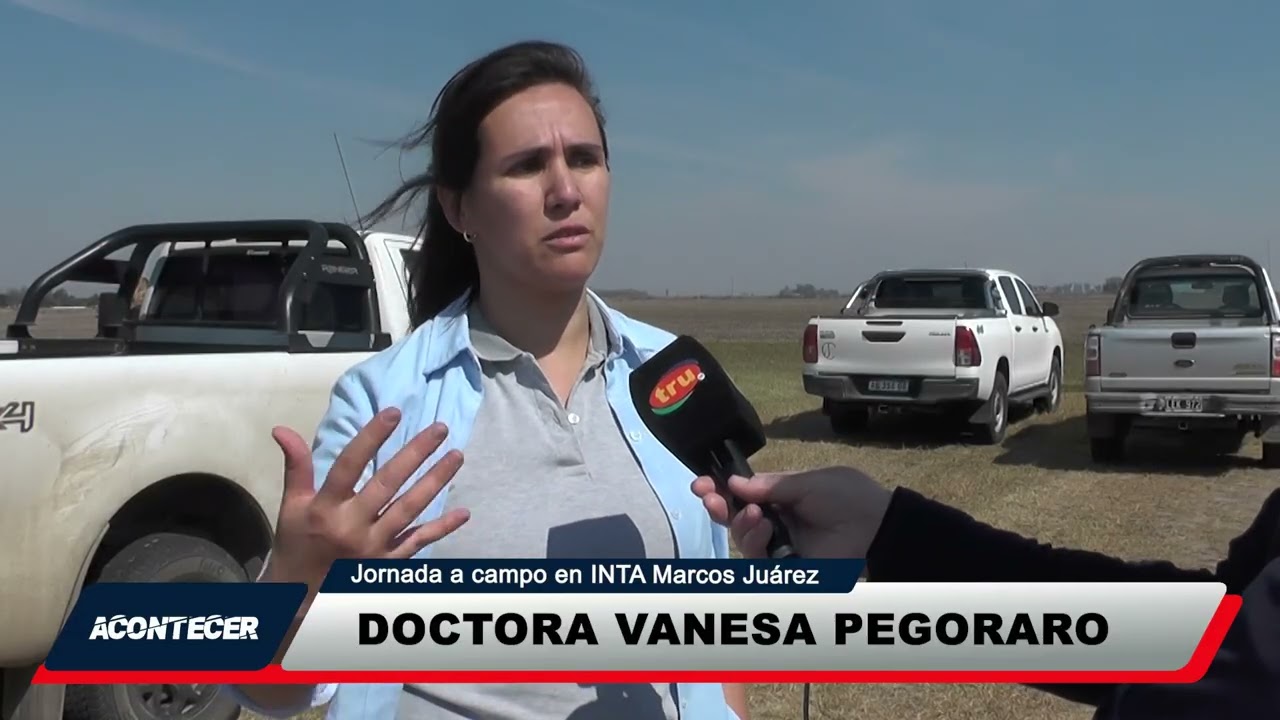 Marcos Juárez: Se desarrolló una jornada a campo en INTA