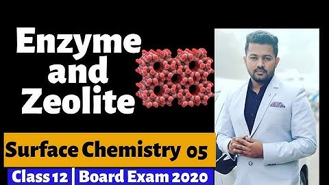 Enzyme and Zeolite | Shape Selective Catalyst | Surface Chemistry 05 |