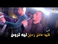 قلبها عاشق ومايل ليه تروح محمود سبايسى 2026 الجديد 