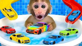 Macaco Bon Bon vai nadar na piscina e compre carrinhos hot wheels coloridos