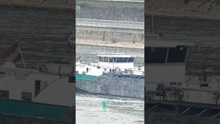 #ship #tanker #shipping #ships #shipspotting #cargoship #containership #rhein #rhine #cruiseship