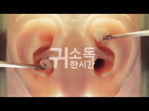 1hour ASMR Ear disinfection | ear cleaning | 귀소독 한시간 (no talking)