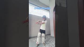 ##Cricket practice at home#