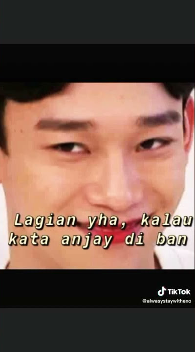 Tiktok exo || bikin ngakak 🤣🤣