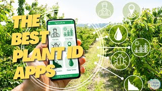 The Ultimate Guide to the Best Plant Identification Apps  #plantid screenshot 2