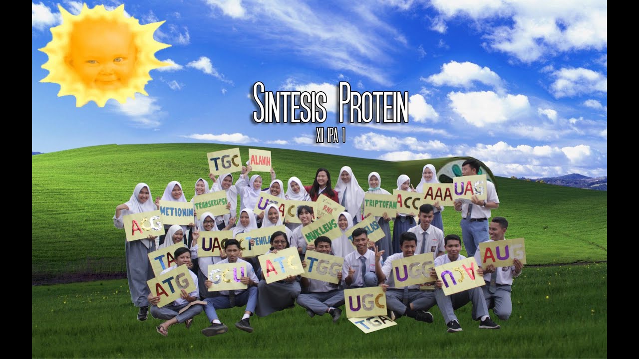 Sintesis Protein | XII MIPA 1 - SMAN 1 Muntok - YouTube