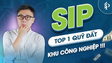 SIP: Cổ phiếu BĐS Khu công nghiệp nên đầu tư nhất nửa cuối năm 2025?