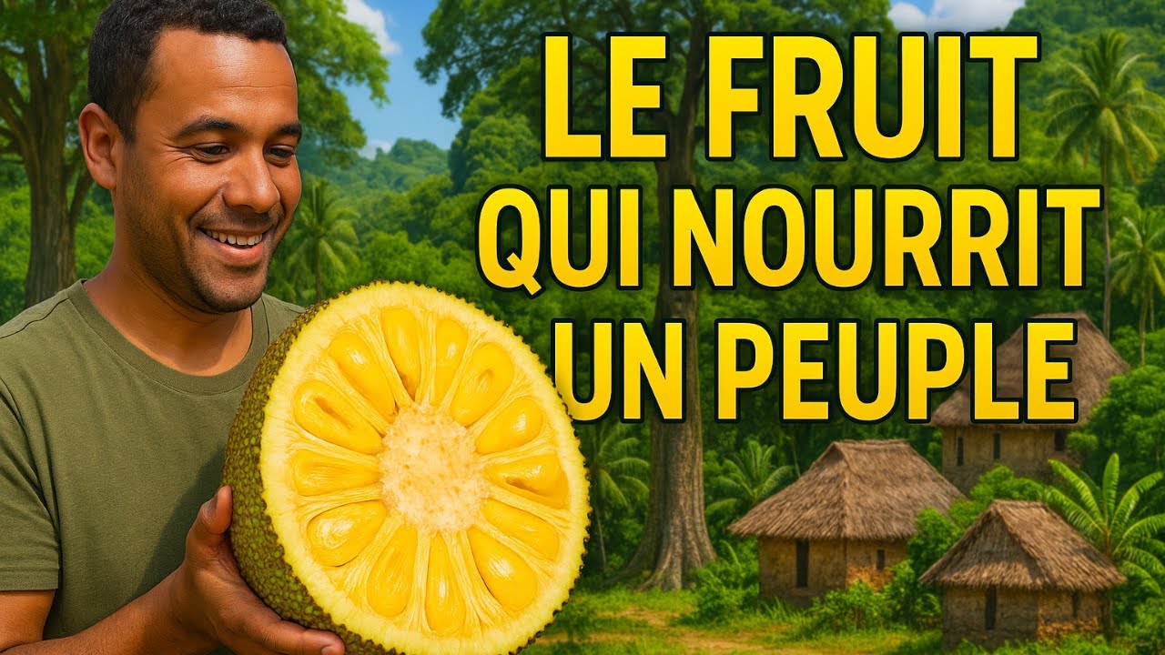 Le jacquier, trésor fruitier de Mayotte et des Comores