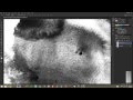 Tutorial: Using Levels in Photoshop to Turn Photos into Textures