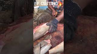 KASIMEDU ? MR UMESH CUTE ? SHARK ? FISH CUTTING VIDEO kasimedufishcutting youtubeshorts