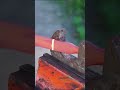 Forging Bow Out Of Leaf Spring 🏹