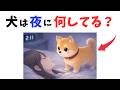 【意外と知らない】飼い主が夜寝てる時、犬は何してる？