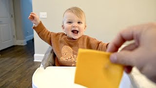 I THREW A PIECE OF CHEESE ON OUR BABY