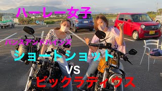 【ハーレー】バンスショートショットvsビックラディウス！音比較