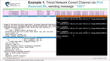Network Information Hiding, Chapter 4 (Fundamentals of Network-based Information Hiding)