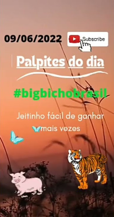 novidadesbichobigbichobrasil 