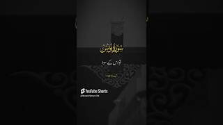 Surah yunus #quranictranslation #quranmotivation #quran #surahyunus