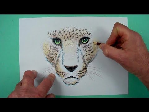 Video: Wie Zeichnet Man Einen Leoparden