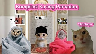 Pov kompilasi kucing puasa Ramadan | meme kucing lucu