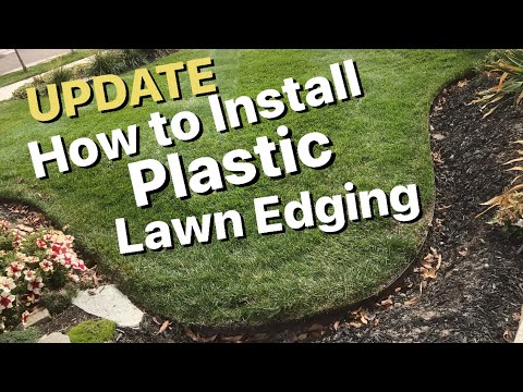 How to Install Lawn Edging For Cheap UPDATE