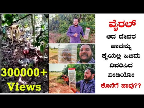 Indian Speckled Cobra | ವೈರಲ್ ಆದ ದೇವರ ಹಾವು ಕೈಯಲ್ಲಿ ಹಿಡಿದು ವಿವರಿಸಿದ ವೀಡಿಯೋ |Indian God Snakes